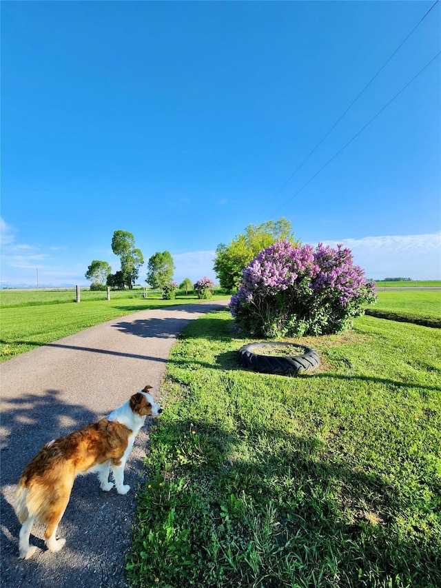 630 18th Rd NW, Choteau, MT 59422 - view of road