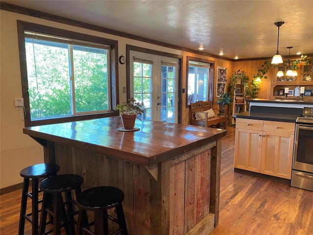102 W Clark St, Philipsburg, MT 59858 - kitchen with stainless steel range with electric cooktop, ornamental molding, dark wood-style floors, and wooden counters