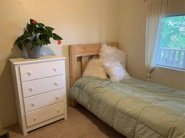 102 W Clark St, Philipsburg, MT 59858 - bedroom with light carpet and visible vents