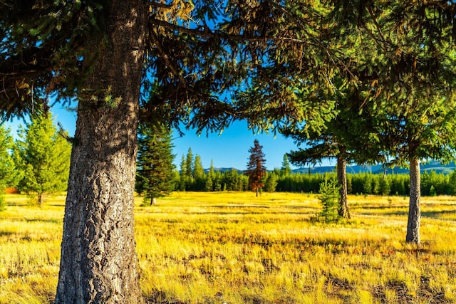 400 Kintla Ranch Rd, Polebridge, MT 59928 - view of undeveloped land