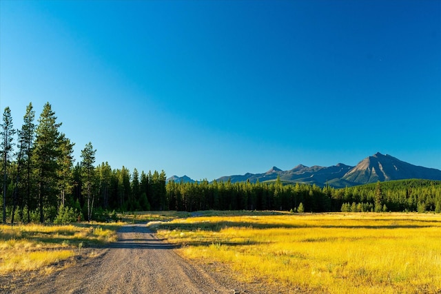 400 Kintla Ranch Rd, Polebridge, MT 59928 - view of mountain backdrop featuring rural landscape and a forest