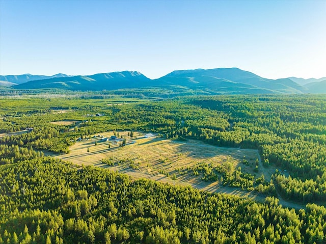 400 Kintla Ranch Rd, Polebridge, MT 59928 - aerial view of a mountainous background and a forest