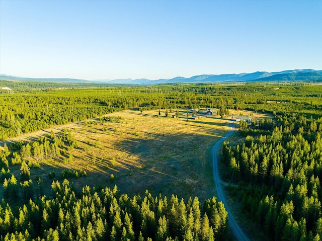 400 Kintla Ranch Rd, Polebridge, MT 59928 - overview of rural landscape featuring a mountainous background
