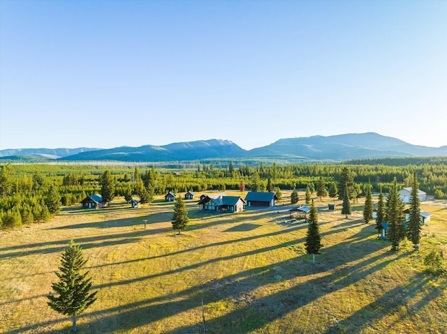 400 Kintla Ranch Rd, Polebridge, MT 59928 - mountain view featuring rural landscape