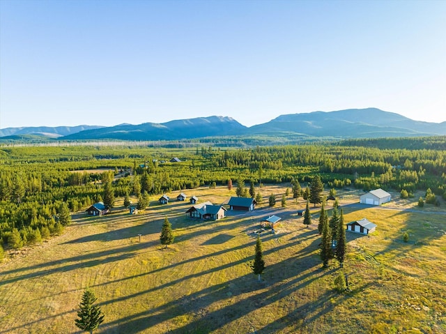 400 Kintla Ranch Rd, Polebridge, MT 59928 - view of mountain background featuring rural landscape