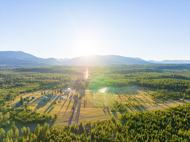 400 Kintla Ranch Rd, Polebridge, MT 59928 - drone / aerial view of mountains