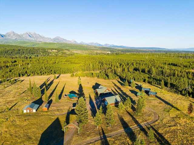400 Kintla Ranch Rd, Polebridge, MT 59928 - view of subject property featuring a mountain backdrop