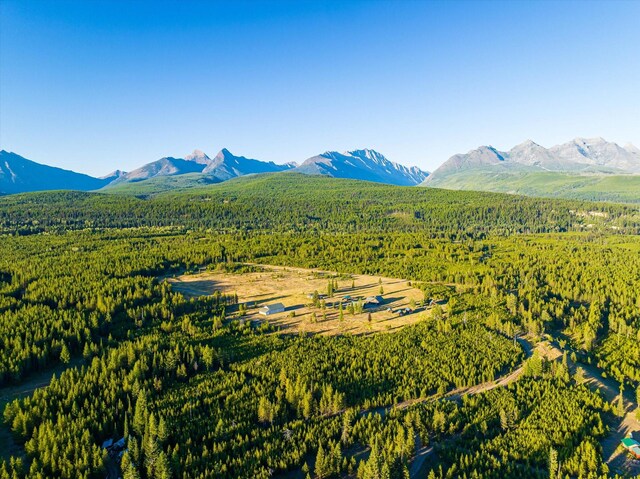 400 Kintla Ranch Rd, Polebridge, MT 59928 - mountain view with a forest