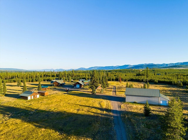 400 Kintla Ranch Rd, Polebridge, MT 59928 - view of rural area with mountains