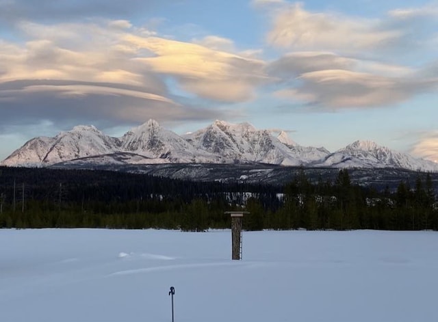 400 Kintla Ranch Rd, Polebridge, MT 59928 - view of mountain background