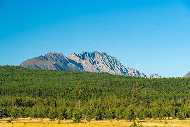 400 Kintla Ranch Rd, Polebridge, MT 59928 - view of mountain backdrop featuring a forest