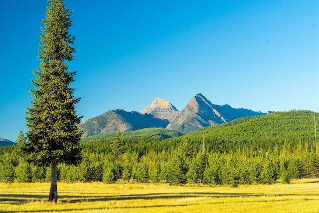 400 Kintla Ranch Rd, Polebridge, MT 59928 - view of mountain backdrop with a forest