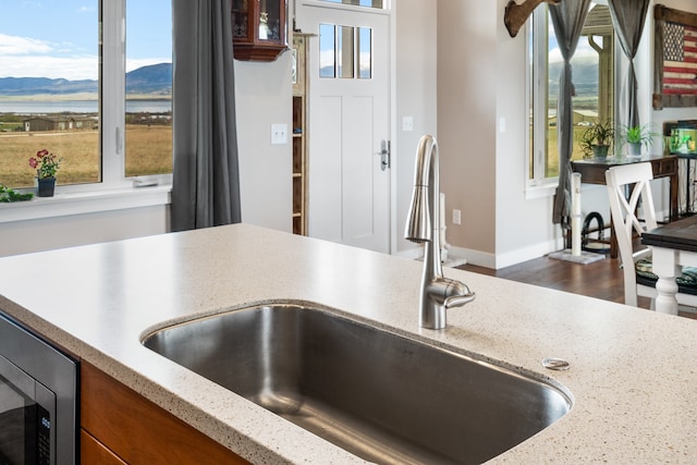 kitchen with a healthy amount of sunlight, stainless steel microwave, sink, and a mountain view