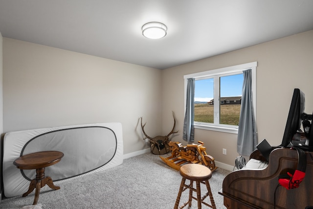 living area with carpet flooring