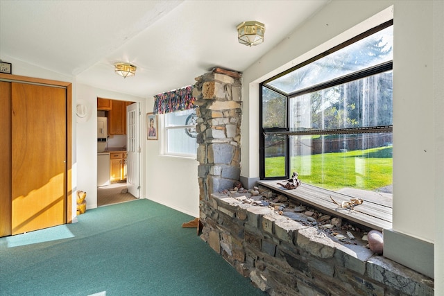 interior space with plenty of natural light and carpet flooring