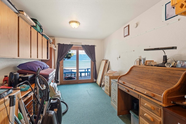 misc room featuring a water view, light carpet, and a textured ceiling