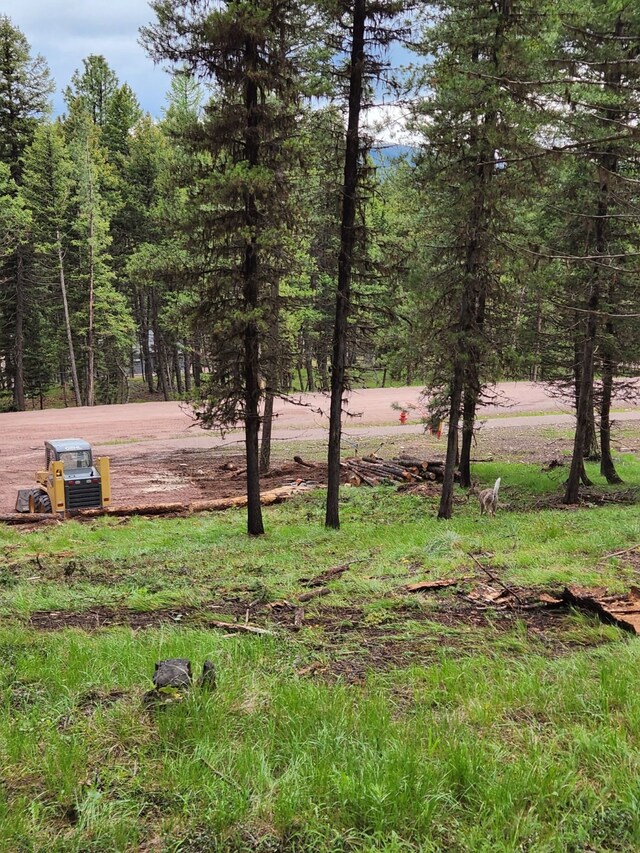 349 Seclusion Pt, Seeley Lake, MT 59868