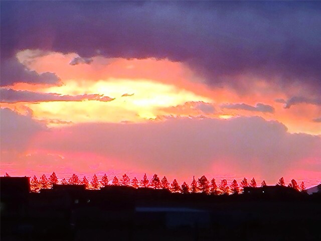 view of nature at dusk