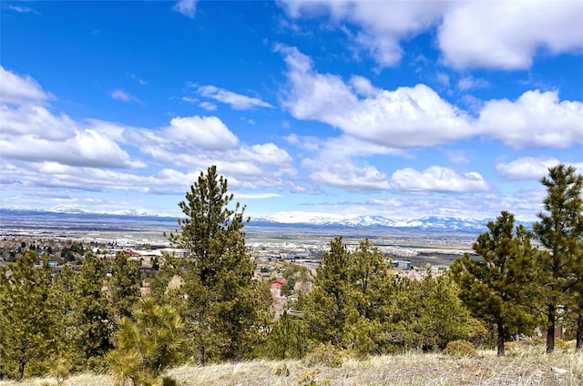 Listing photo 3 for 1205 Winscott Ln, Helena MT 59601