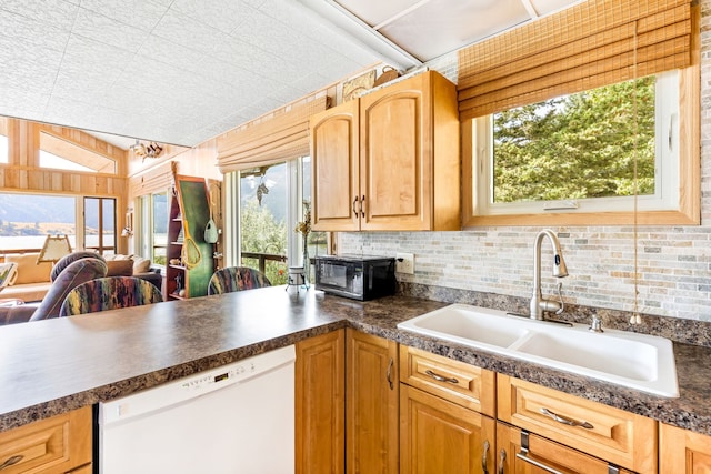 kitchen featuring sink, dishwasher, and a healthy amount of sunlight