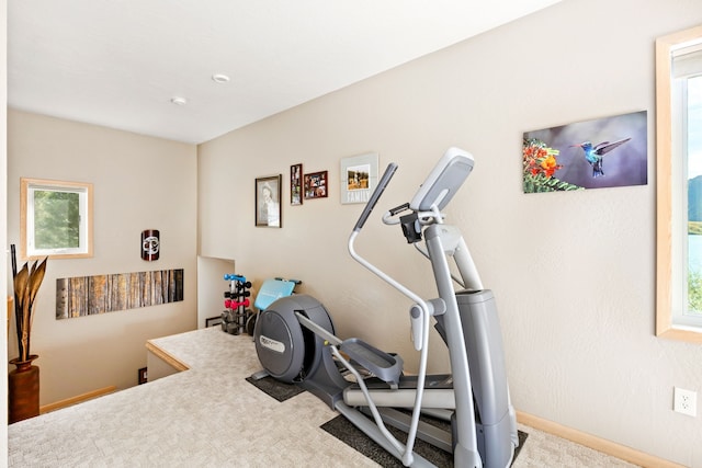 workout area featuring a wealth of natural light and carpet flooring