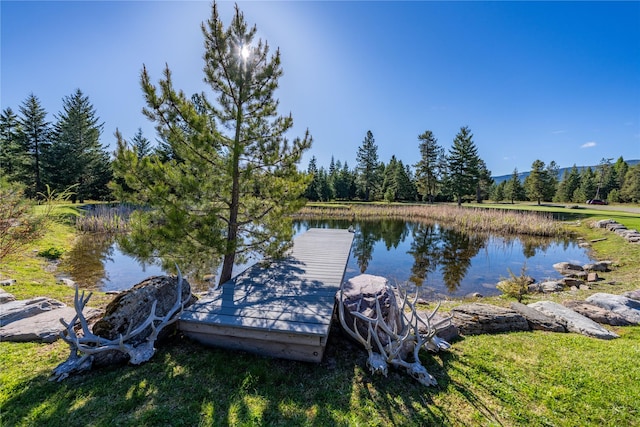 dock area with a water view