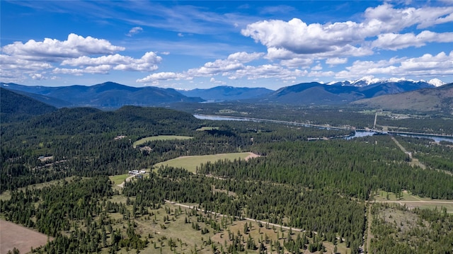 drone / aerial view featuring a mountain view and a view of trees