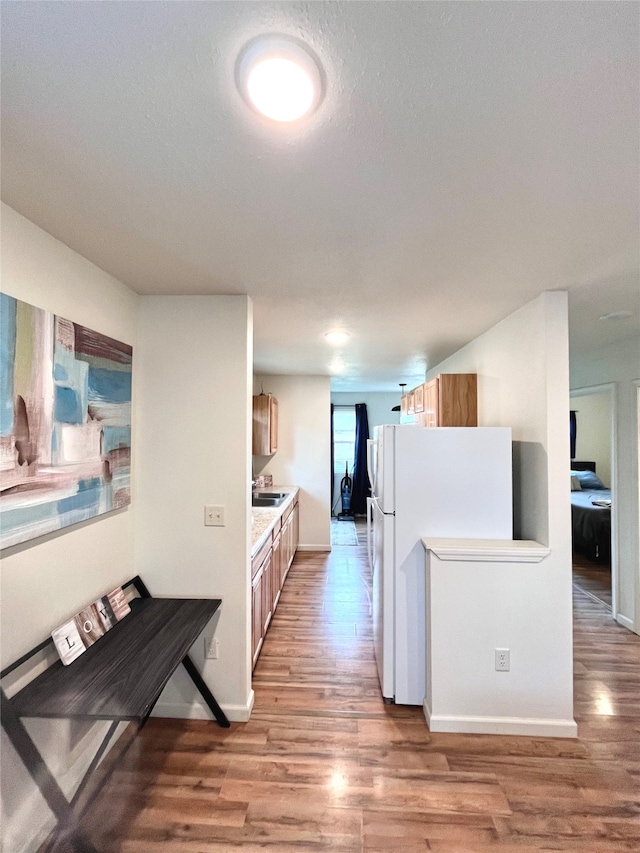 kitchen with hardwood / wood-style flooring, white refrigerator, and sink