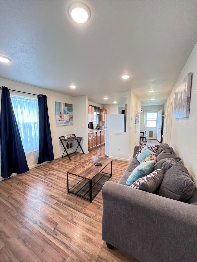 living room with hardwood / wood-style flooring