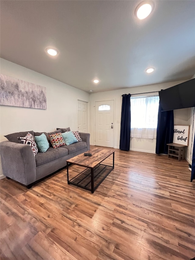 living room featuring wood-type flooring