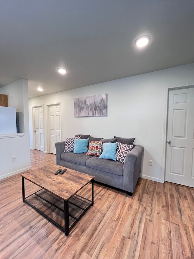 living room with wood-type flooring