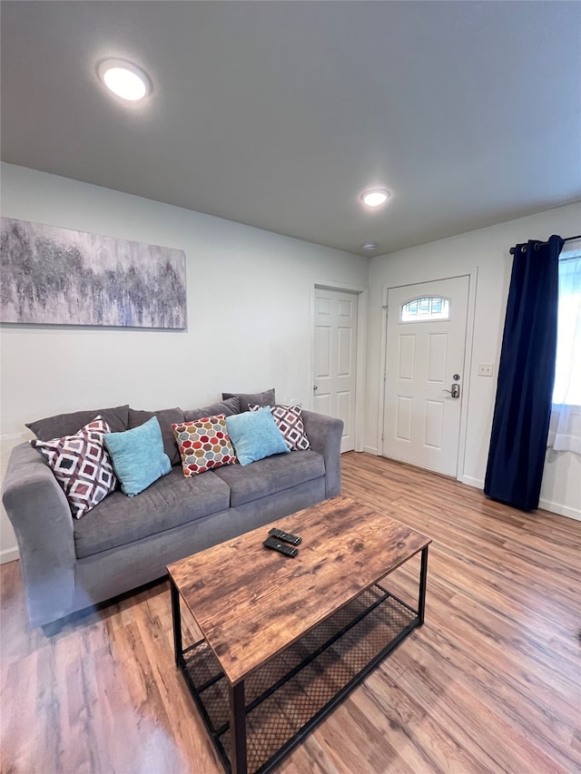 living room featuring wood-type flooring