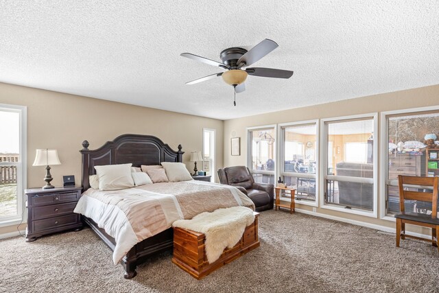 bedroom featuring a walk in closet, carpet flooring, a closet, and ceiling fan