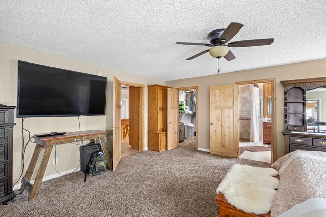 interior space with wooden walls and carpet floors