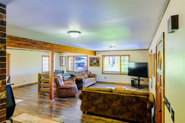 living room featuring hardwood / wood-style floors