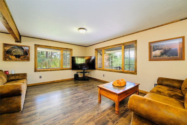 living room with beamed ceiling, a healthy amount of sunlight, and dark hardwood / wood-style flooring