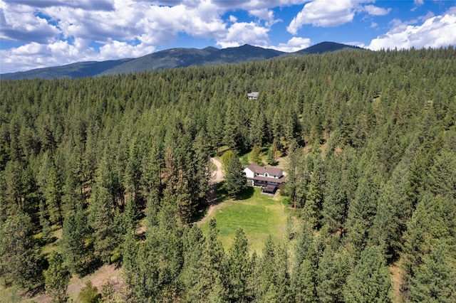 drone / aerial view featuring a mountain view