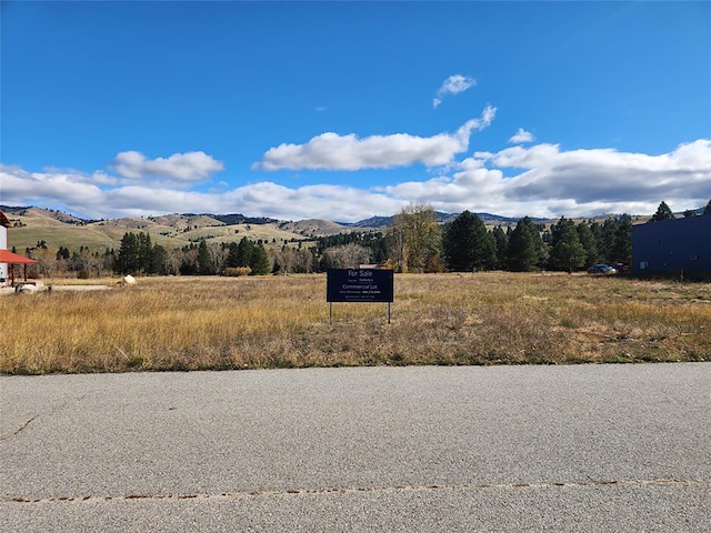 Listing photo 3 for 3320 Dvn Ln, Darby MT 59829