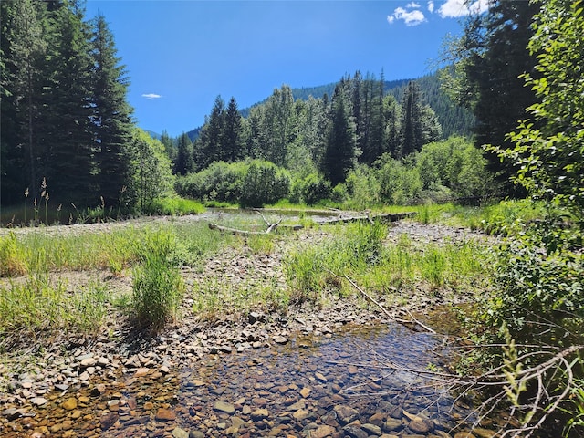 NHN Silver Butte Road, Libby MT, 59923 land for sale