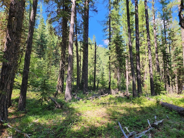 NHN Silver Butte Rd, Libby, MT 59923