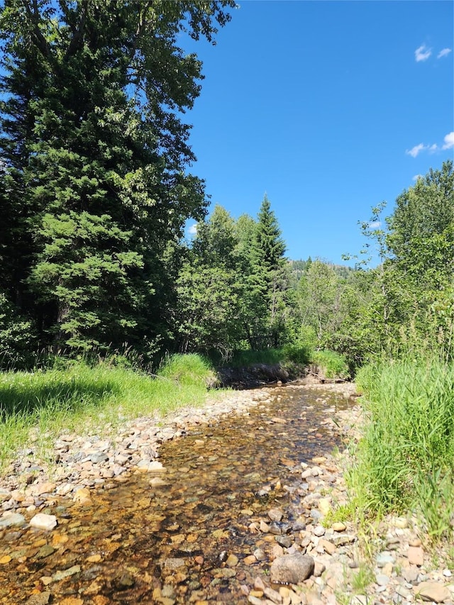 NHN Silver Butte Rd, Libby, MT 59923