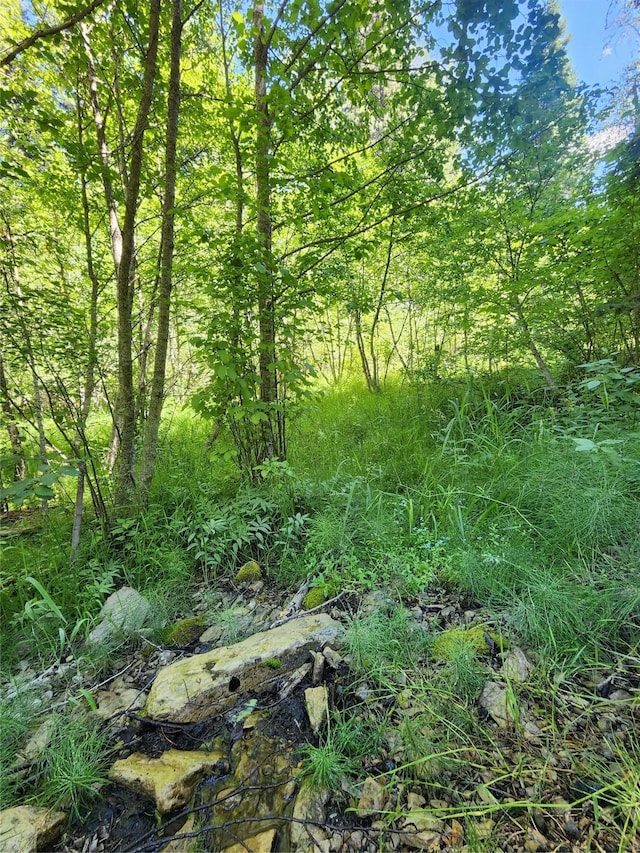 NHN Silver Butte Rd, Libby, MT 59923