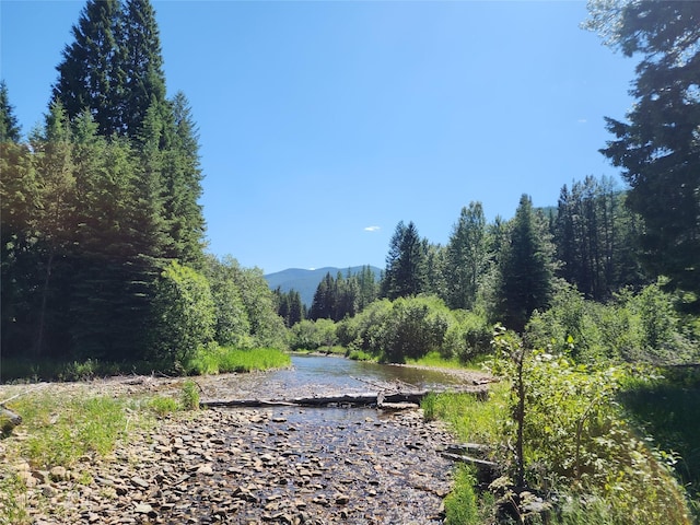 NHN Silver Butte Rd, Libby, MT 59923
