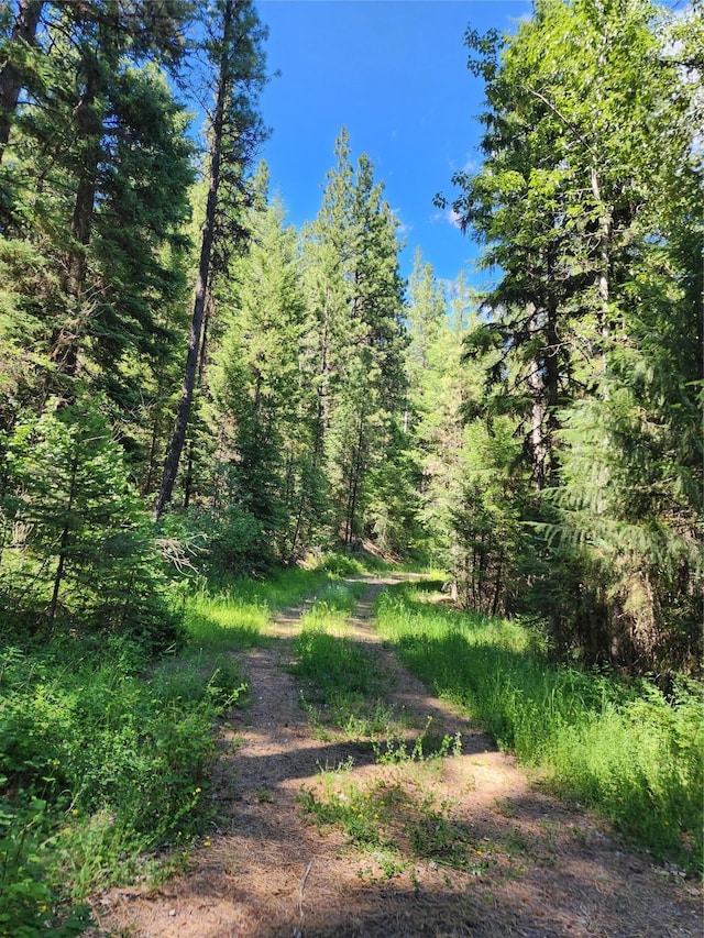 NHN Silver Butte Rd, Libby, MT 59923