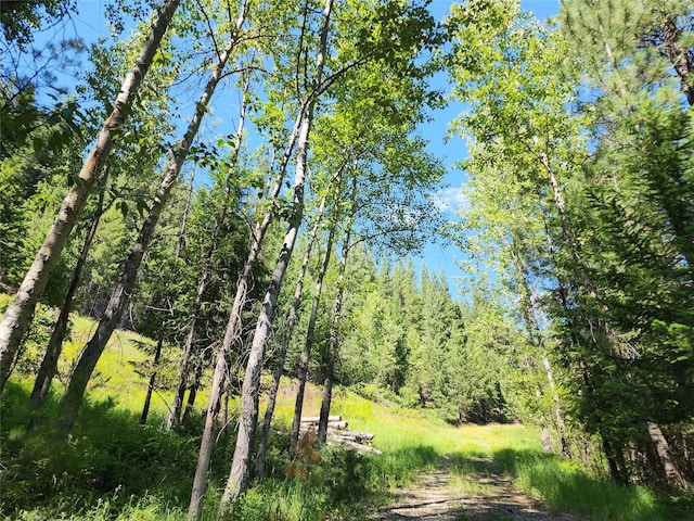 NHN Silver Butte Rd, Libby, MT 59923