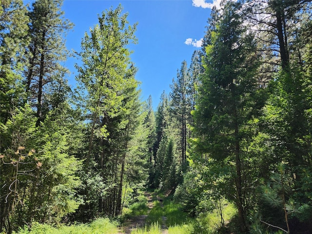 NHN Silver Butte Rd, Libby, MT 59923