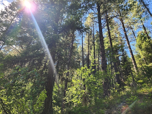 NHN Silver Butte Rd, Libby, MT 59923