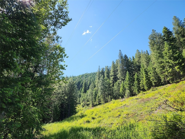NHN Silver Butte Rd, Libby, MT 59923