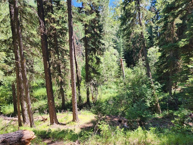 NHN Silver Butte Rd, Libby, MT 59923
