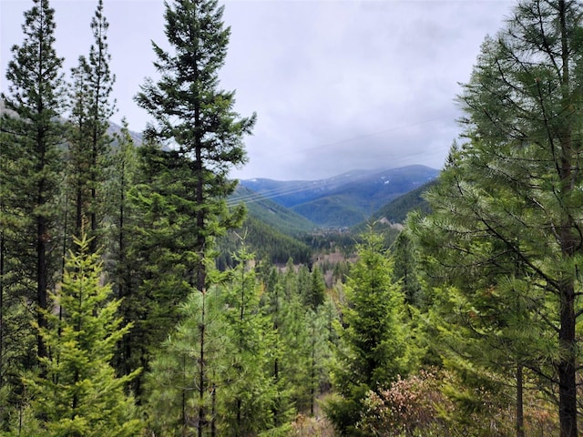 NHN Silver Butte Rd, Libby, MT 59923